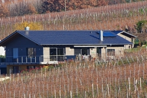 "es Paradiesgärtle", eingebettet in Weinberge