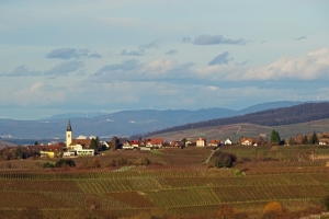 Weinberge soweit das Auge reicht.
