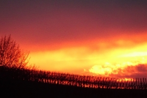 Sonnenuntergang über der Burgundischen Pforte.