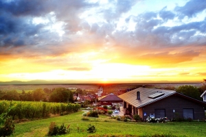 Blick in die Rheinebene