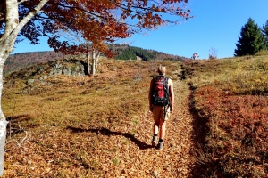 Herbstwanderung im Schwarzwald