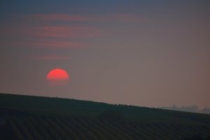 Sonnenuntergang über Basel
